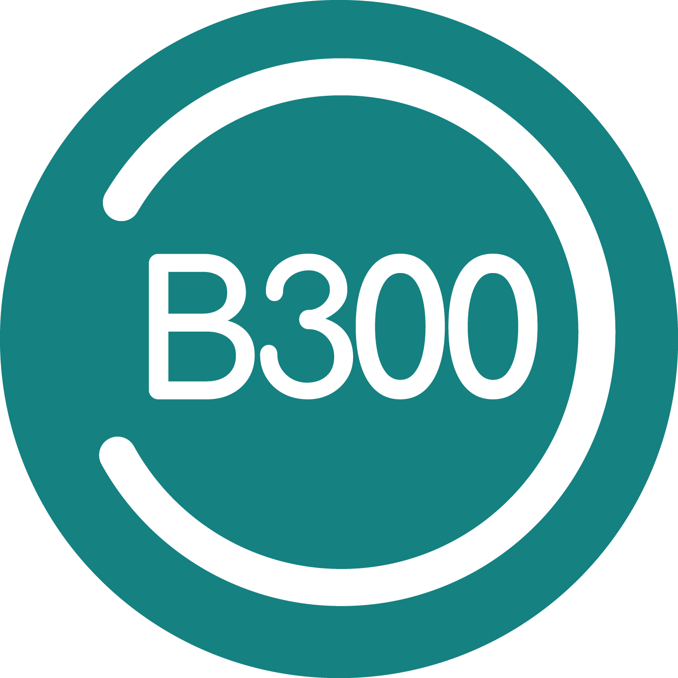 B300